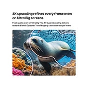 LG 75'' NANO 4K UHD AI NU85 Smart TV 2026, LG NANO 4K UHD AI NU85 con Super Upscaling 4K y Dynamic Tone Mapping muestra una escena submarina de un león marino, ya que la IA reconoce y mejora cada marco hasta una resolución 4K., 75NU850BPSA, thumbnail 6