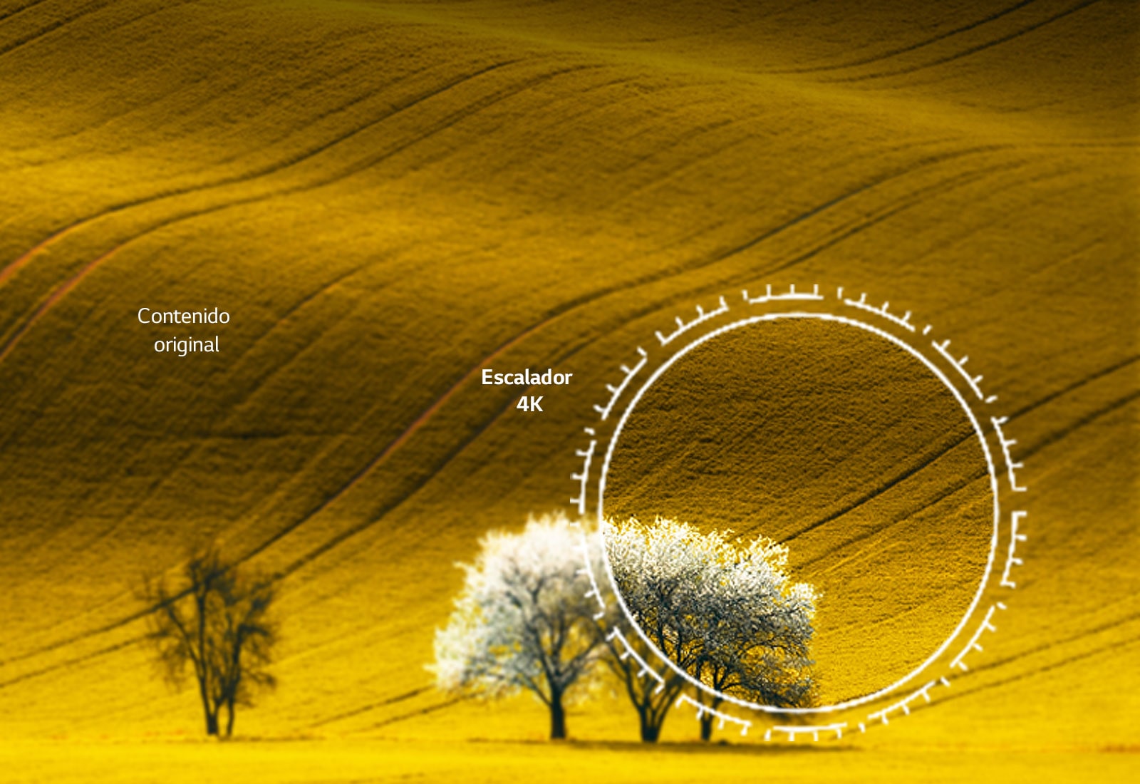 Una vista de la naturaleza, comparando la calidad de la imagen que el contenido no 4K y el contenido 4K escalado.