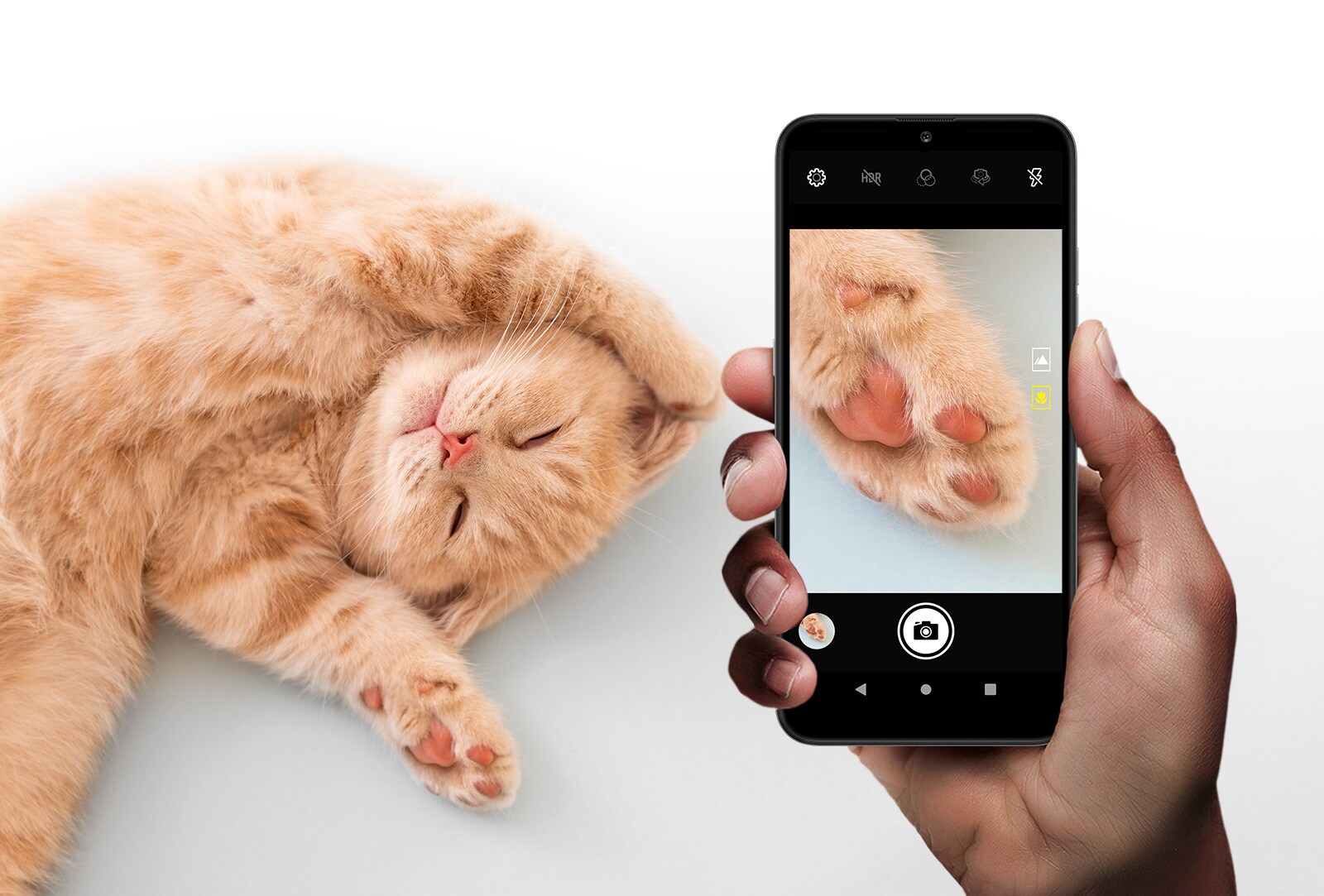 Smartphone filmant le pied d’un joli chat
