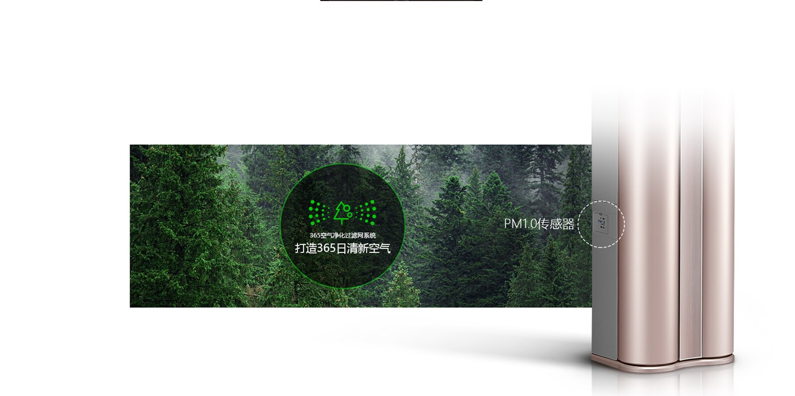LG-DUAL-GOLD_15