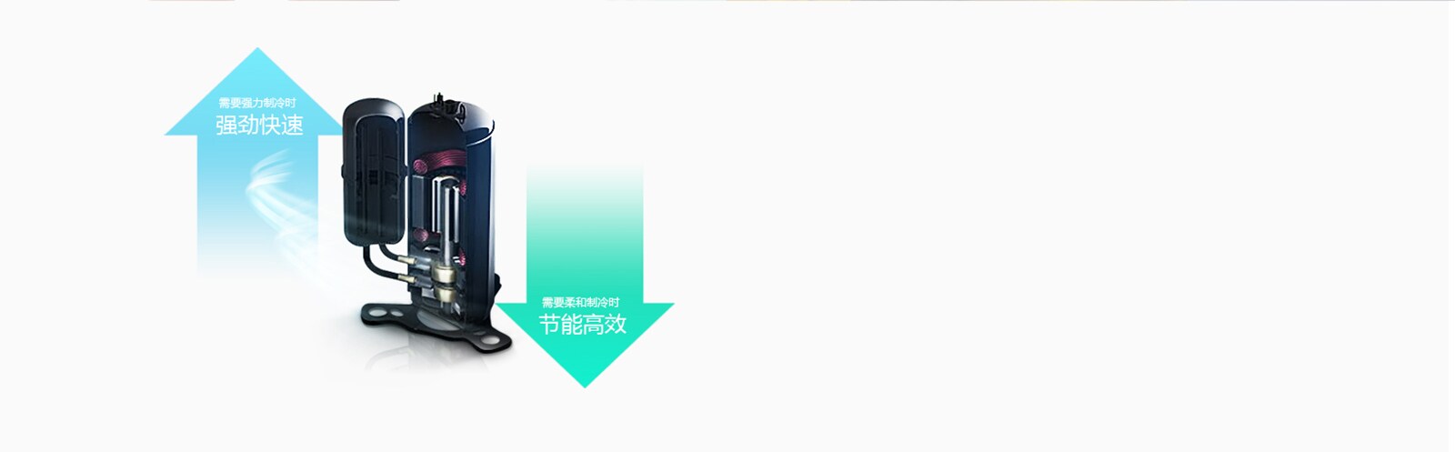LG-DUAL-GOLD_19