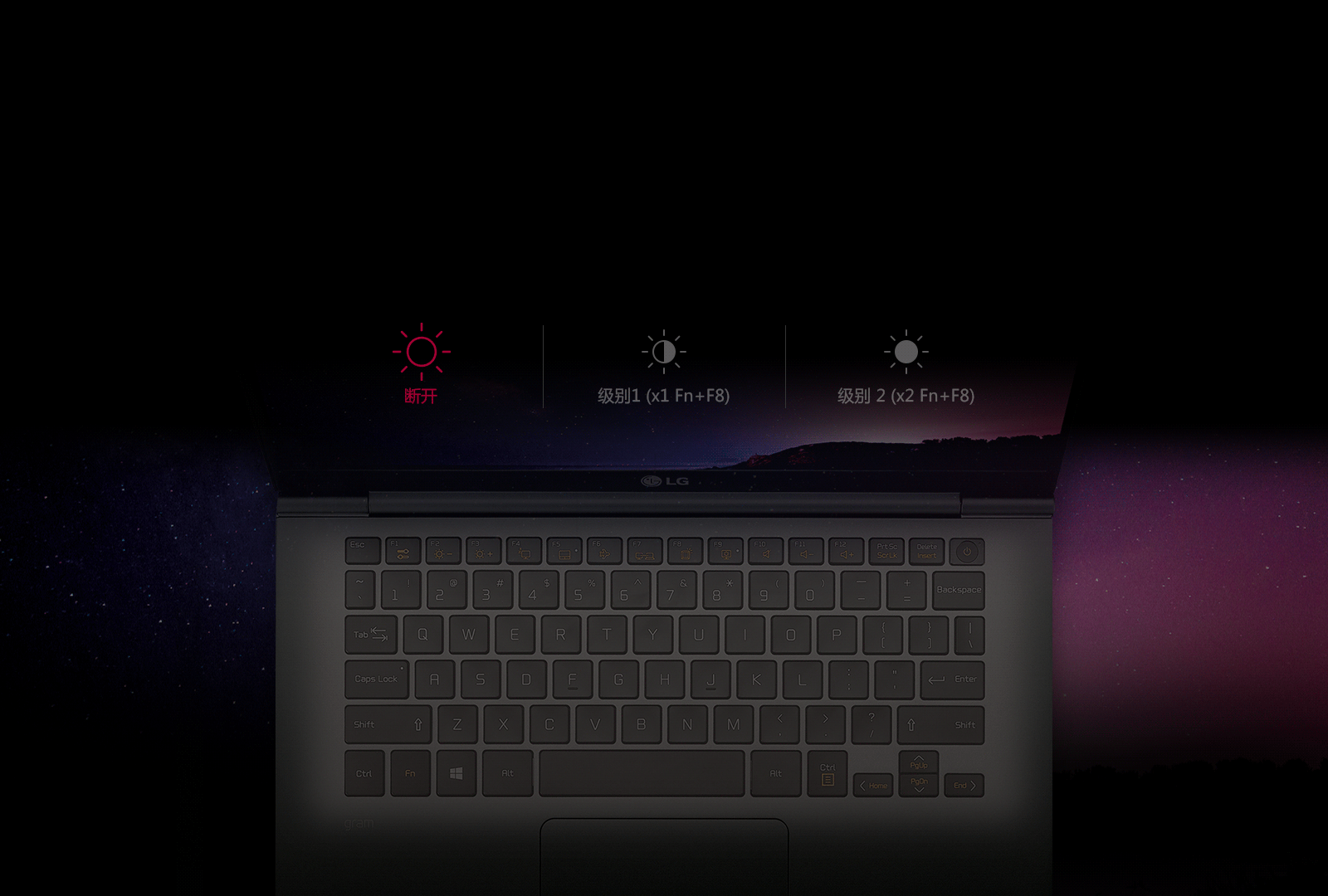 Global_14Z980_Silver_fingerprint_2017_Feature_12_1_BacklitKeyboard_D