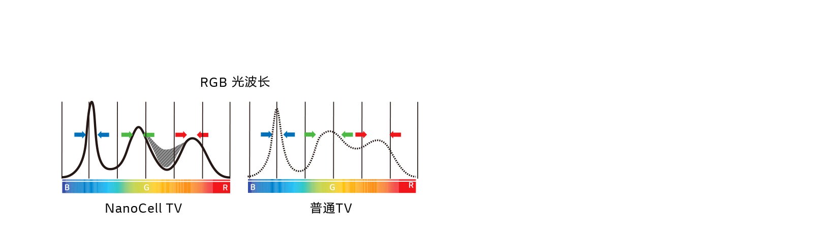 55SM81-pc_04