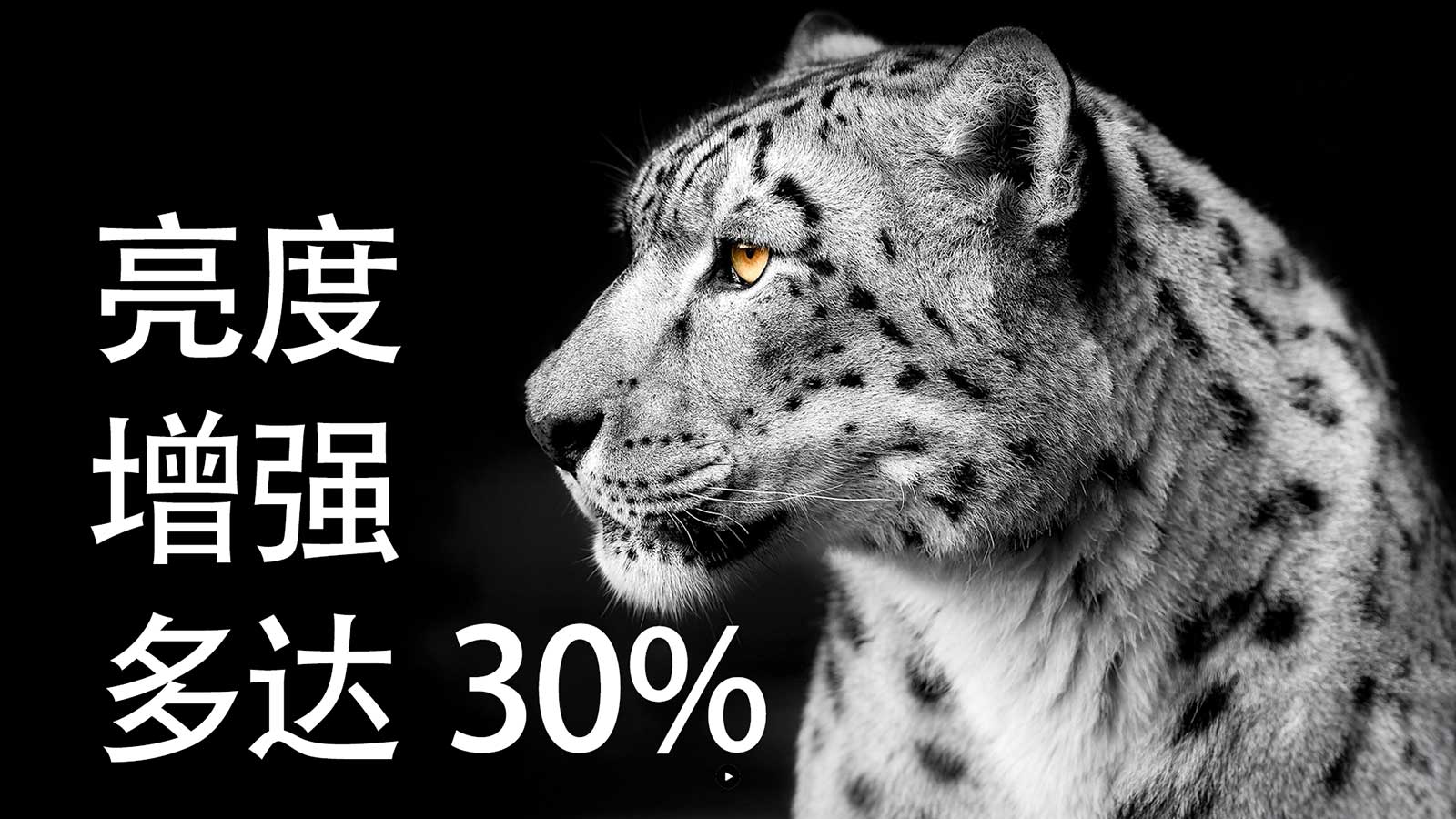 呈现更亮丽的图像