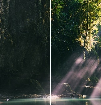 LG QNED evo AI QNED85 Mini LED 通过对森林场景进行分屏，突出 Mini LED 配备 精准控光 技术，与传统的 LED 相比，展示更深的黑色和更细致的对比度，当阳光穿过树林时呈现出更高的清晰度和层次感。