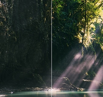 LG QNED evo AI QNED85 Mini LED 通过对森林场景进行分屏，突出 Mini LED 配备 精准控光 技术，与传统的 LED 相比，展示更深的黑色和更细致的对比度，当阳光穿过树林时呈现出更高的清晰度和层次感。