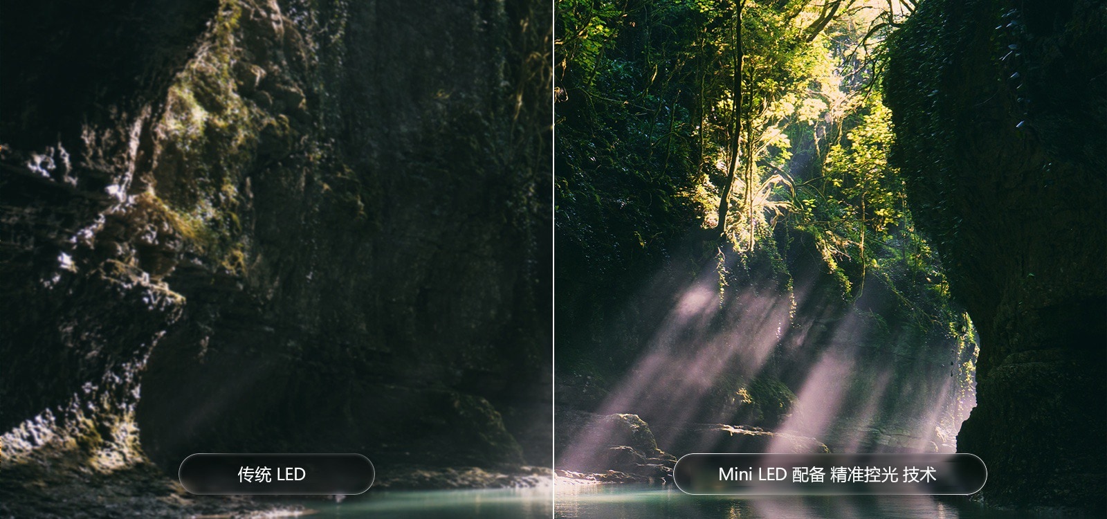 LG QNED evo AI QNED85 Mini LED 通过对森林场景进行分屏，突出 Mini LED 配备 精准控光 技术，与传统的 LED 相比，展示更深的黑色和更细致的对比度，当阳光穿过树林时呈现出更高的清晰度和层次感。