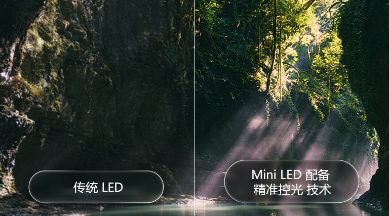 LG QNED evo AI QNED85 Mini LED 通过对森林场景进行分屏，突出 Mini LED 配备 精准控光 技术，与传统的 LED 相比，展示更深的黑色和更细致的对比度，当阳光穿过树林时呈现出更高的清晰度和层次感。