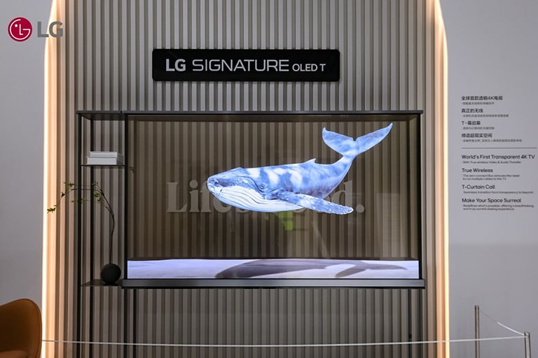 %E4%B8%9C%E6%96%B9%E6%9E%A2%E7%BA%BD_5