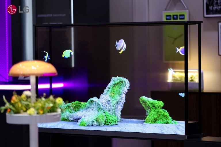 %E6%96%B0%E5%9B%BD%E9%99%85_16