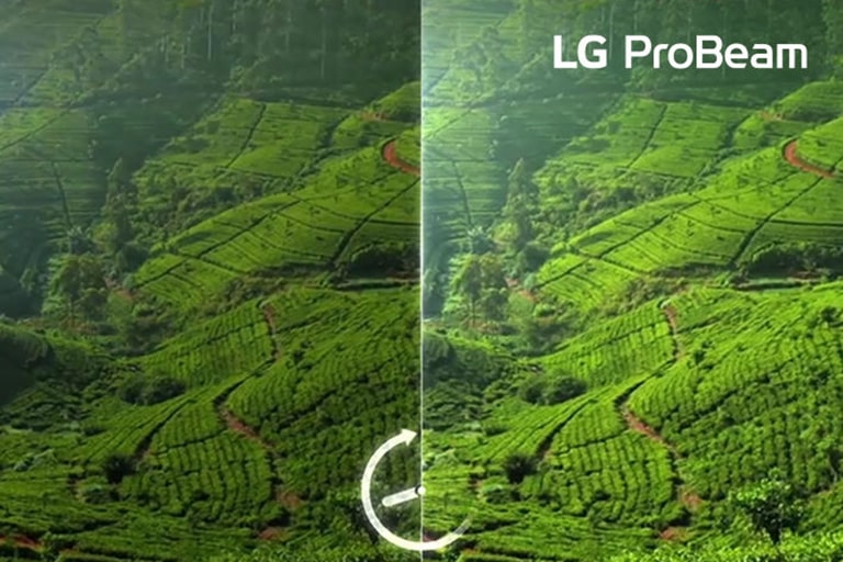 对比看起来黑暗的自然场景和看起来明亮的相同自然场景。（仅限自社产品对比）			