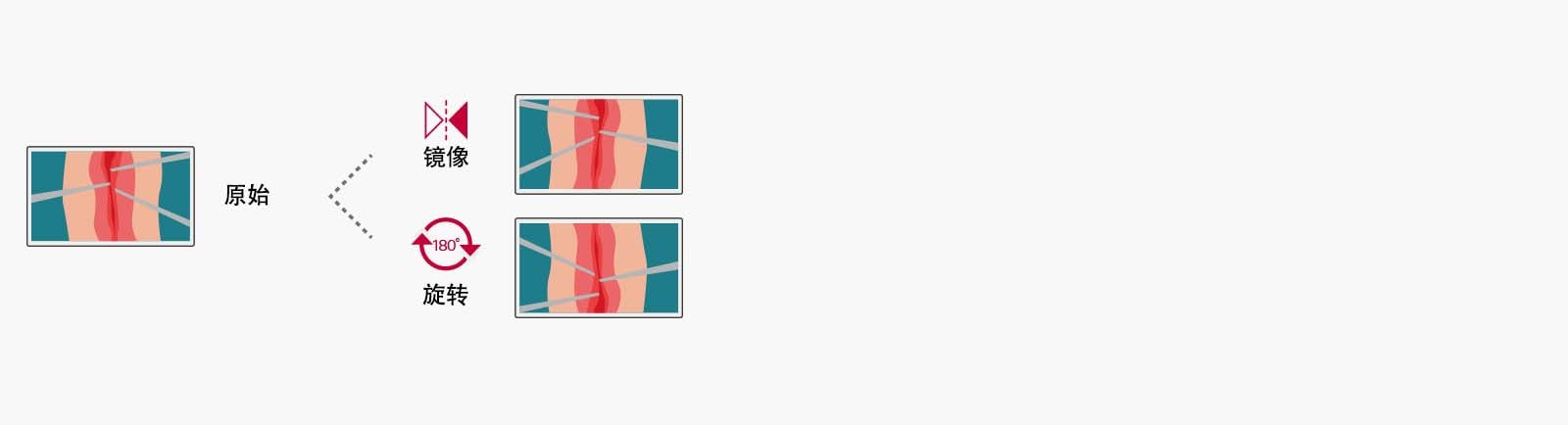 可灵活翻转和旋转显示器以配合用户需求。通过镜像和旋转模式，用户可以选择灵活的 180° 旋转/镜像图像显示。