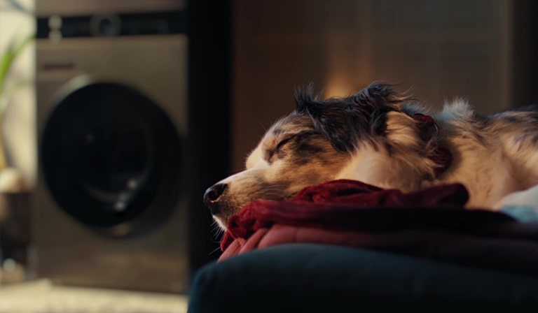 不如小憩片刻？让洗衣机去工作吧！2