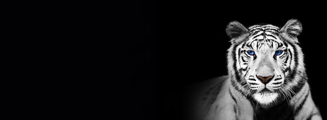 图为黑色背景中的白虎，描绘了亮度增强器 Max。