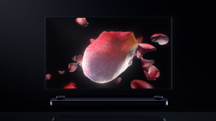 LG SIGNATURE OLED TV W的屏幕上充满了花卉的图像。