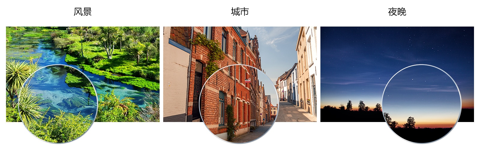按场景类型(风景、城市、夜晚和其他)比较画质。
