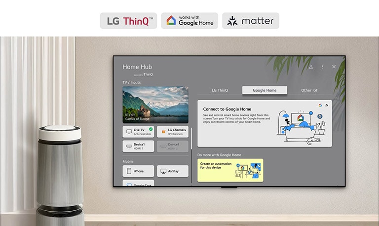 LG TV（屏幕上显示 Home Hub）。用户界面显示 Google Home、ThinQ 和其它物联网，展现您可以如何轻松地在电视上管理您所有的智能设备。