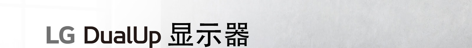 LG DualUp 显示器