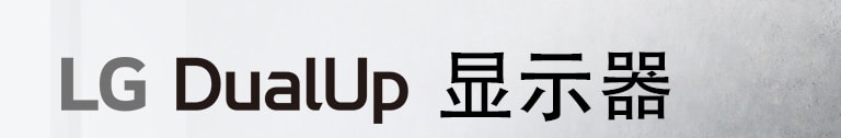 LG DualUp 显示器