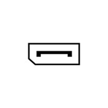 DisplayPort pictogram.