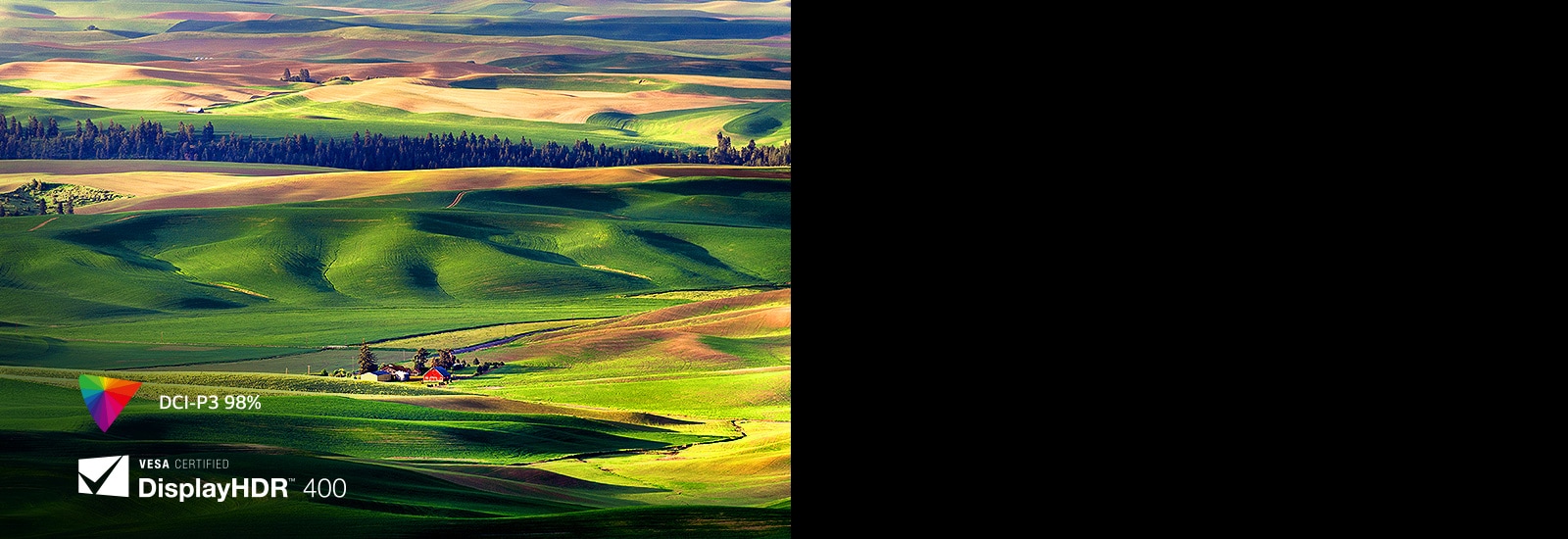 The VESA DisplayHDR™ 400 lets you enjoy clear and realistic colors up to 98% DCP-P3.	