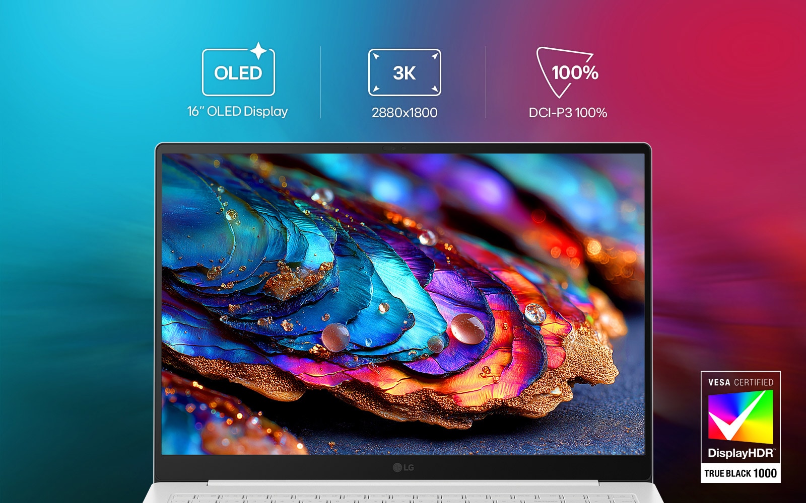 16 英寸 OLED 屏， 色彩生动，细节清晰