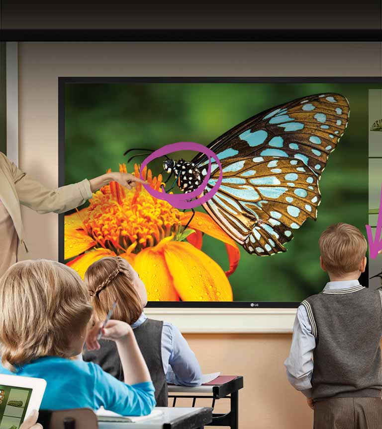 ID_02_Education_Hero_m_1477901414700