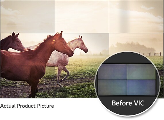 ID_02_VIC_07_1_1478000257740