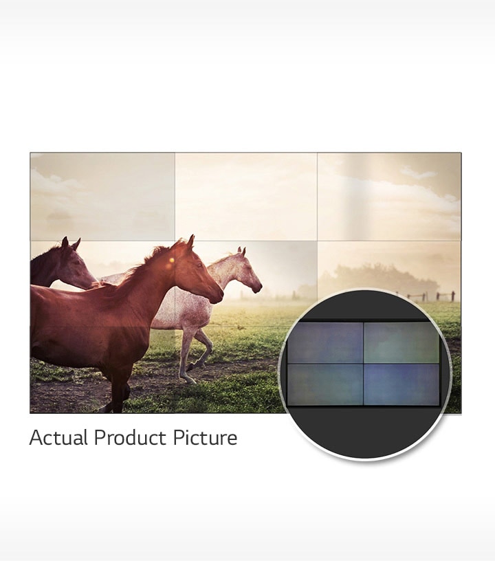 ID_02_VIC_07_1_m_1478000263881