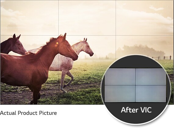 ID_02_VIC_07_2_1478000269454