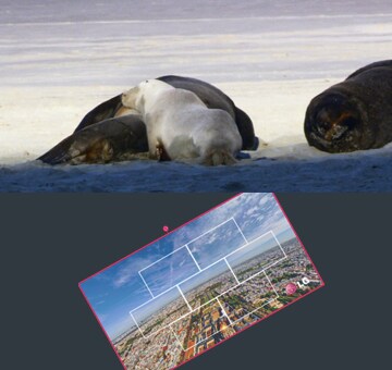 ID_04_SuperSignMediaEditor_07_1460697964221_1478000899104