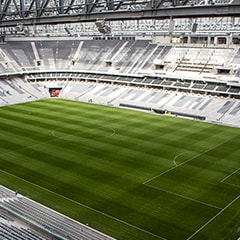 SAC_EQUUS333_05_3_1460018957635_1477983893631