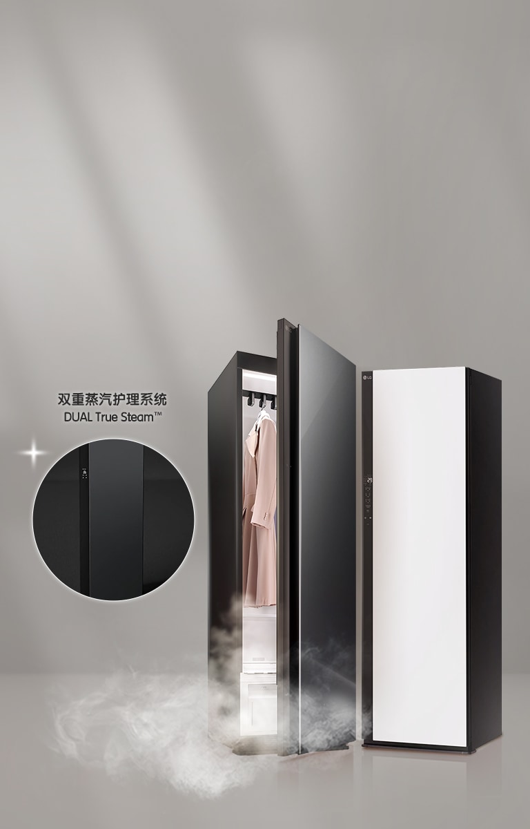 双重蒸汽护理系统，蒸汽除菌99.9%*，祛味*抚平褶皱， 全年精细温和护理衣物