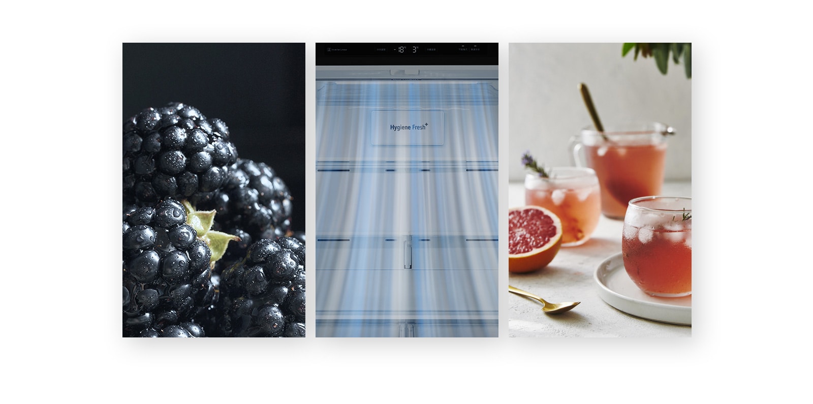 *上图仅为冰箱风幕效果示意