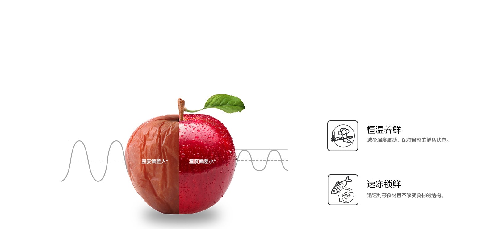 双风系搭载LG线性变频压缩机 制冷更均匀迅速