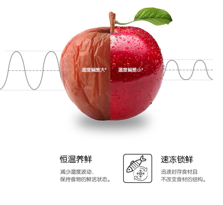 自动控温，24小时保持各个功能区内部温度恒定，温差波动±0.5℃以内