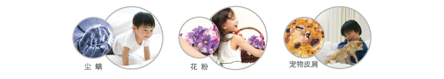 蒸汽防过敏 健康呵护