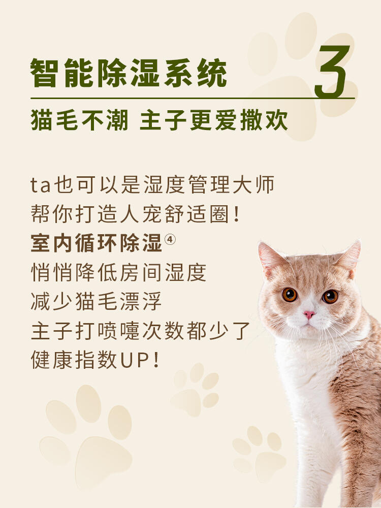 🐾养猫人的春日救赎 <br> 让猫毛与优雅和解14