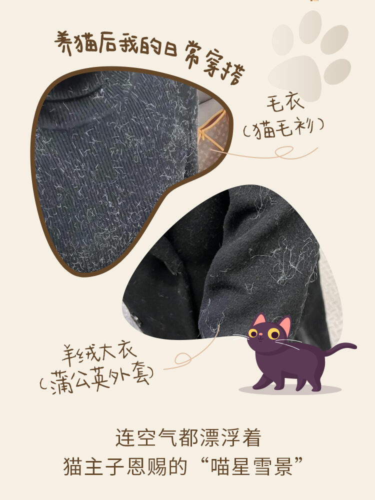 🐾养猫人的春日救赎 <br> 让猫毛与优雅和解8