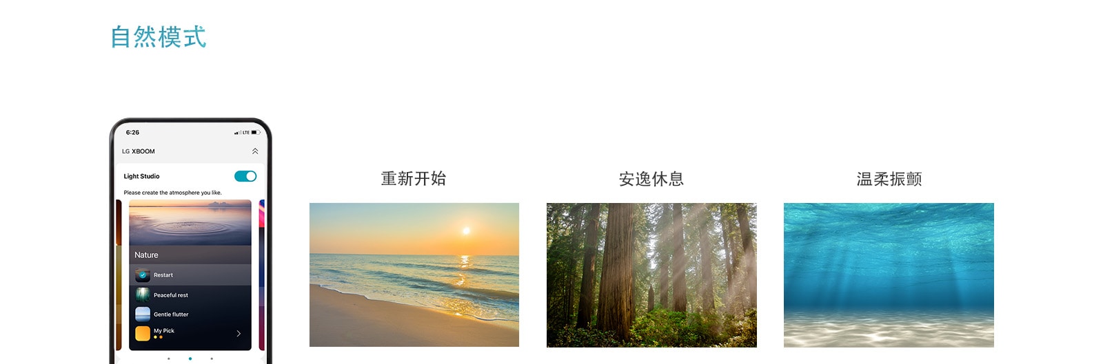 在自然模式下打开 APP 屏幕的手机图像。 夕阳下的海滩画面。图为阳光照射下的森林。图为阳光透过清澈的海面。