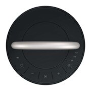 LG XBOOM 360 RP4 - 具备氛围灯光的 360˚ 全向声便携式无线蓝牙音箱, 俯视图, RP4G, thumbnail 8