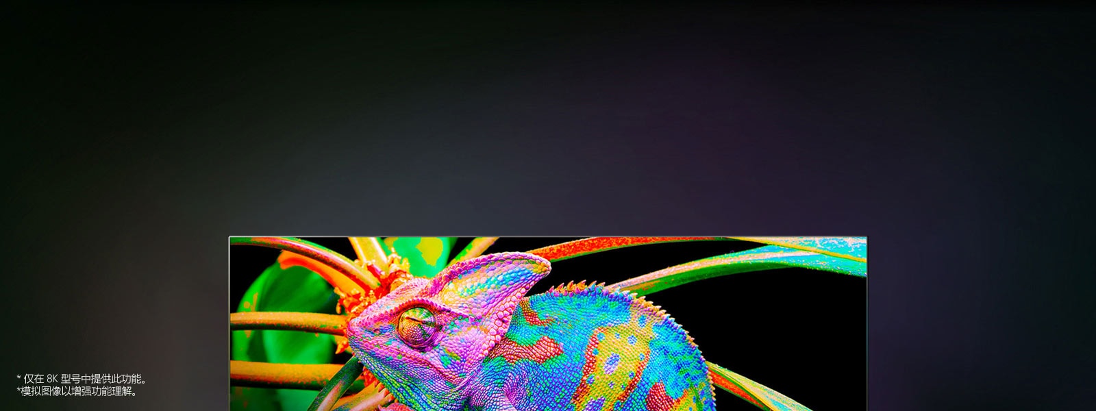 电视上放大了色彩斑斓的变色龙，显示其皮肤细节。