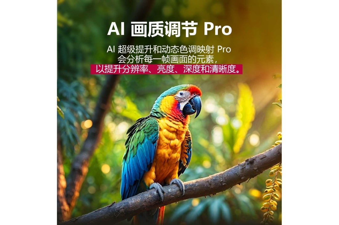 LG 86 英寸 LG QNED evo AI QNED85 MiniLED 4K 智能电视 2025, 一只鹦鹉栖息在树枝上的色彩鲜艳的画面。标题讲述了 LG AI 画质调节 Pro 如何对该场景的分辨率、亮度、深度和清晰度进行了令人印象深刻的视觉增强。, 86QNED85ACA, thumbnail 7