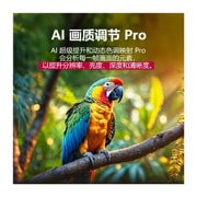 LG 86 英寸 LG QNED evo AI QNED85 MiniLED 4K 智能电视 2025, 一只鹦鹉栖息在树枝上的色彩鲜艳的画面。标题讲述了 LG AI 画质调节 Pro 如何对该场景的分辨率、亮度、深度和清晰度进行了令人印象深刻的视觉增强。, 86QNED85ACA, thumbnail 7