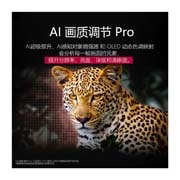 LG 48英寸 LG OLED evo AI G5 4K智能电视, OLED48G5PCA, OLED48G5PCA, thumbnail 10