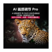 LG 42英寸 LG OLED evo AI C5X 4K智能电视, 森林里的豹，色彩鲜艳，细节丰富。豹子的身后有一个网格和一道光芒，这展示了 LG AI 画质调节 Pro 如何对该场景的分辨率、亮度、深度和清晰度进行了令人印象深刻的视觉增强。, OLED42C5XCA, thumbnail 8