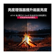 LG 83英寸 LG OLED evo AI C5 4K智能电视, 在大自然的环境中夜晚的篝火。远处有森林和湖泊。夜空中繁星点点。整个场景分成两半。一半更昏暗、更暗淡。另一半明显更明亮，展示了 亮度增强器 令人印象深刻的光亮。, OLED83C5PCA, thumbnail 6