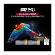 LG 42英寸 LG OLED evo AI C5X 4K智能电视, 电视屏幕上正播放着令人眼花缭乱、绚丽多彩的烟花。这展示了 100% 色准，这一功能即使在阳光下也能呈现精准的色彩。徽标认证也是可见的，完美色彩技术可在高达 500 lux 的条件下创造超过 99% 的色彩一致性水平。它的旁边有 Intertek 认证，该认证表明通过了独立测试。, OLED42C5XCA, thumbnail 7