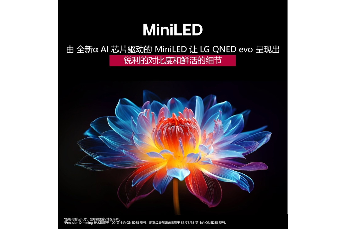 LG 75 英寸 LG QNED evo AI QNED85 MiniLED 4K 智能电视 2025, 黑色背景中呈现多色相渐变的 3D 全息花朵。花朵的清晰度与细节展现 QNED MiniLED 呈现非凡色彩、亮度与对比度的能力。标题讲述了 MiniLED 如何提升清晰度并实现卓越的对比度。, 75QNED85ACA, thumbnail 10