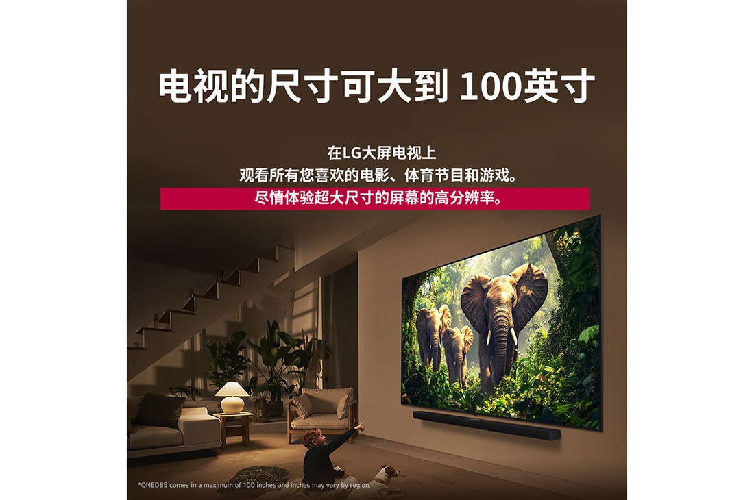 LG 75 英寸 LG QNED evo AI QNED85 MiniLED 4K 智能电视 2025, 一个女孩和一条狗坐在一台 LG QNED TV 前面，这台电视安装在墙上，正在显示三只向外走的大象，LG Soundbar 位于这台电视下方。标题讲述了在大型屏幕上，每个动作如何更加令人兴奋。, 75QNED85ACA, thumbnail 8